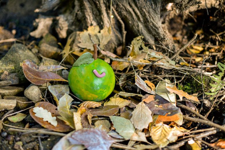 C’est l’automne, le temps des stocks !