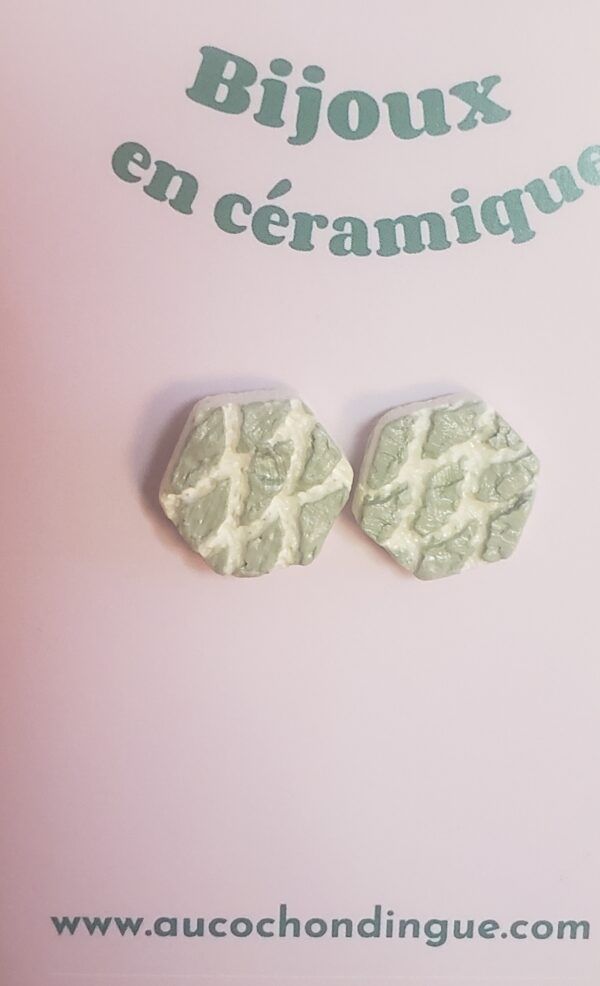 Boucles d'oreilles